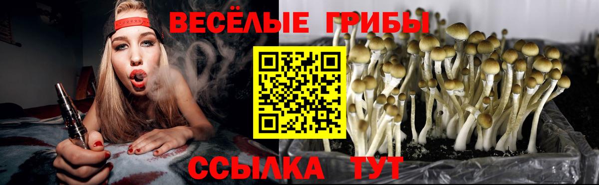 Галлюциногенные грибы ЛСД  Вход с VPN  Москва  Псилоцибиновые грибы GOLDEN TEACHER 
